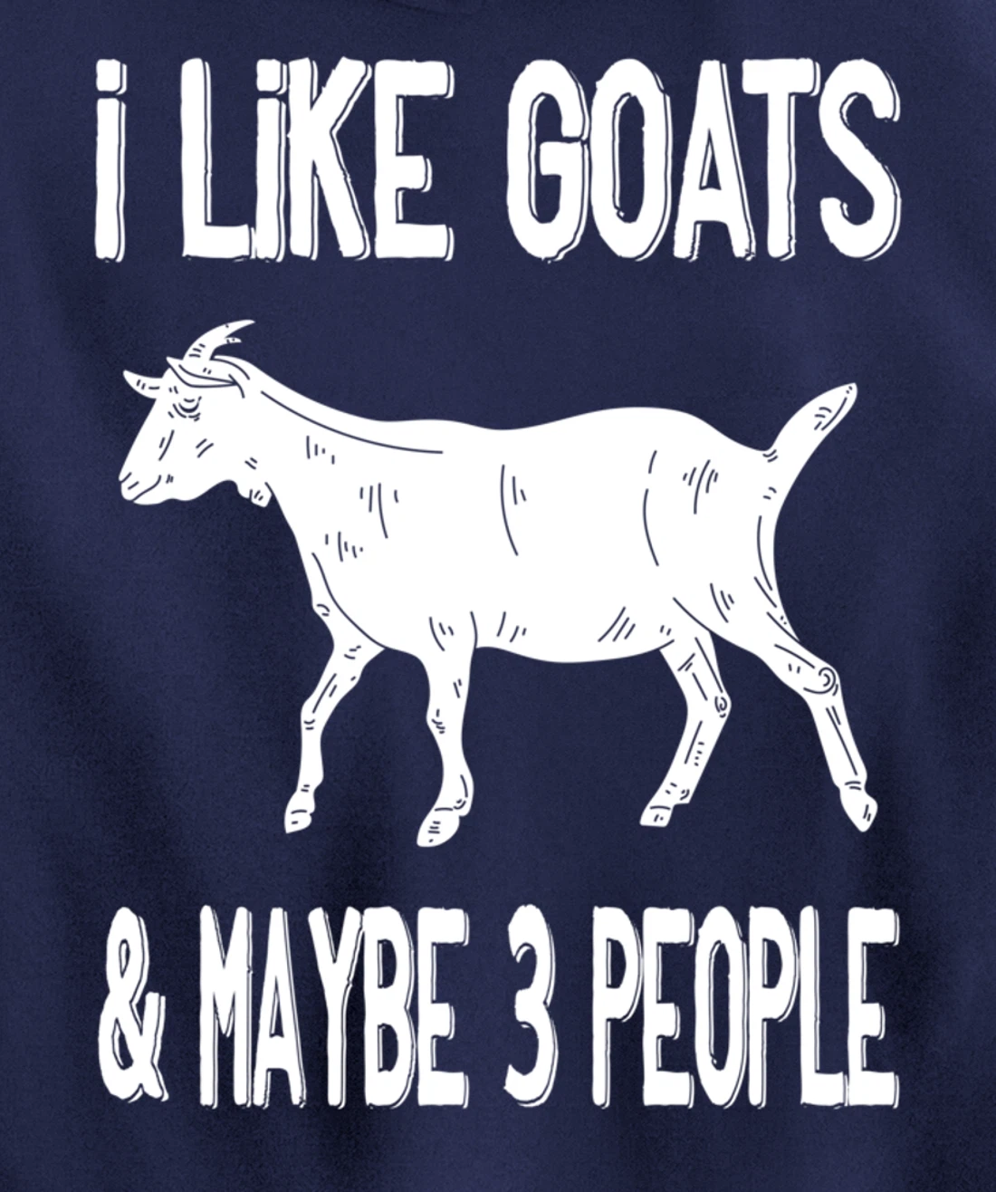 Funny Farm Introvert - I Like Goats & Maybe 3 People Pullover Hoodie