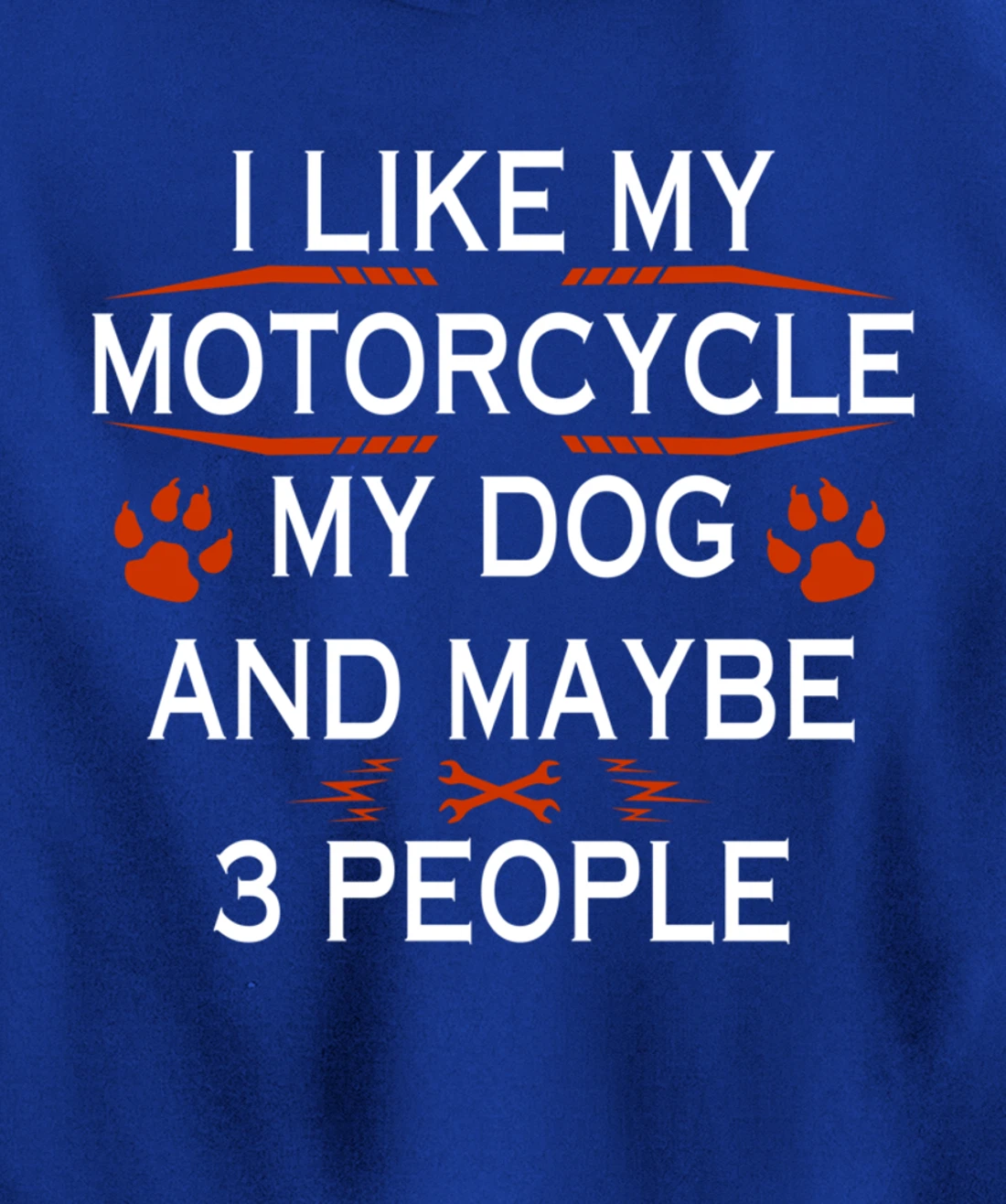 Funny Biker I Like My Motorcycle Dog And Maybe 3 People Pullover Hoodie