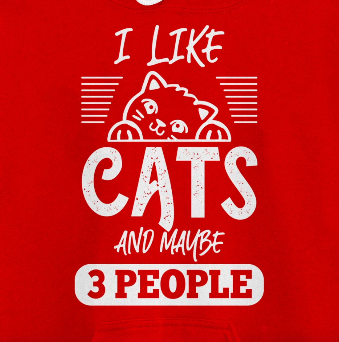 I Like Cats And Maybe 3 People Funny Cats Kittens Themed Pullover Hoodie