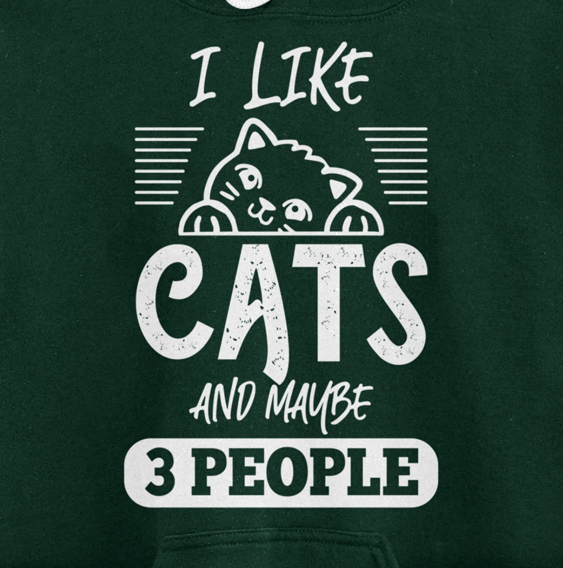 I Like Cats And Maybe 3 People Funny Cats Kittens Themed Pullover Hoodie