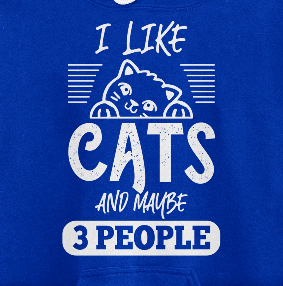 I Like Cats And Maybe 3 People Funny Cats Kittens Themed Pullover Hoodie