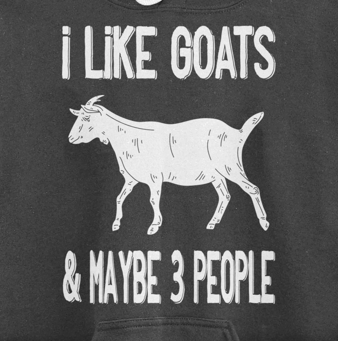 Funny Farm Introvert - I Like Goats & Maybe 3 People Pullover Hoodie