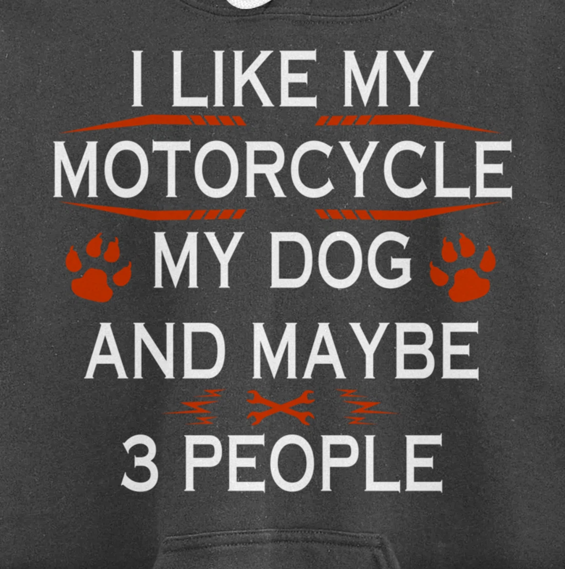 Funny Biker I Like My Motorcycle Dog And Maybe 3 People Pullover Hoodie