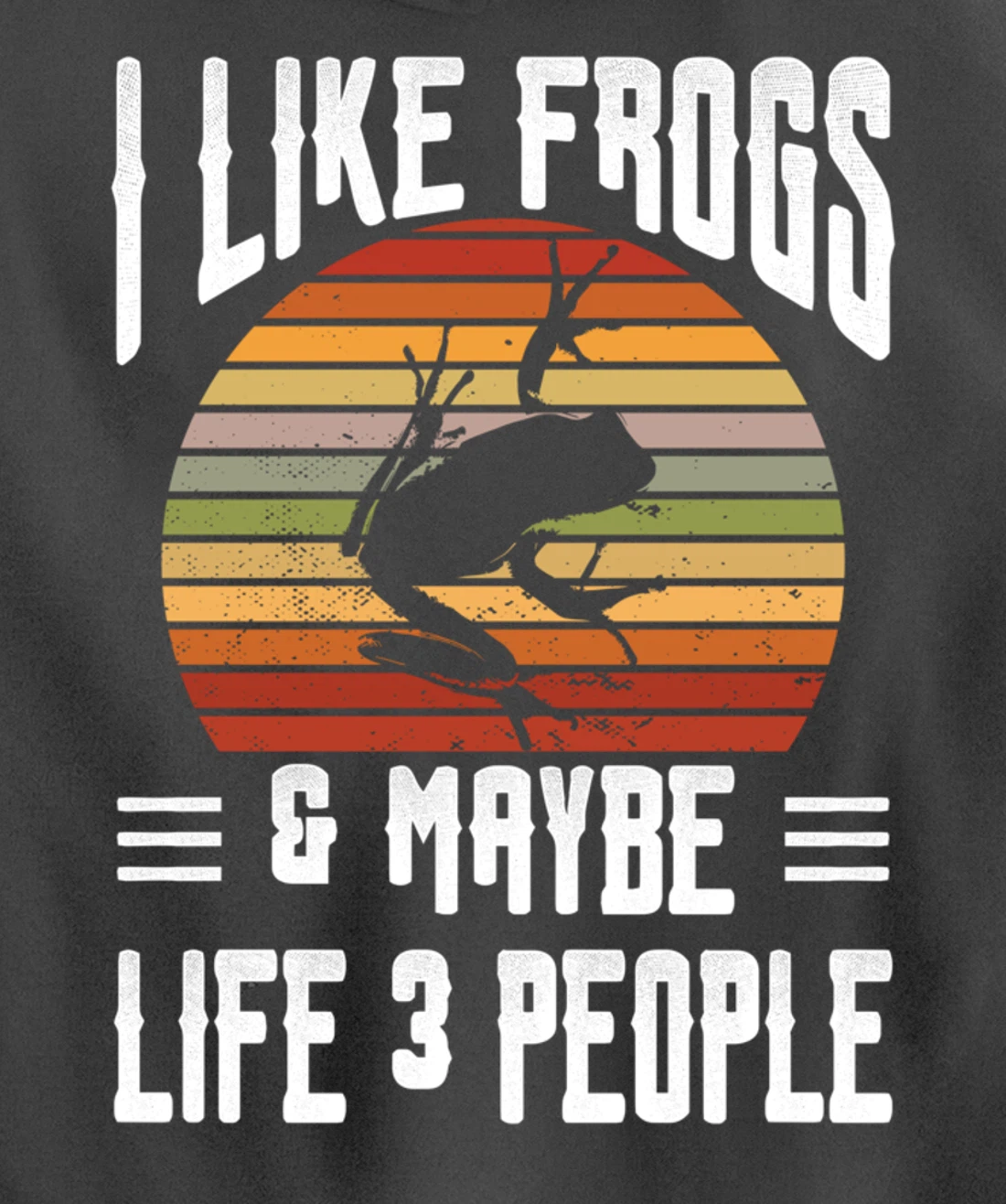 Funny Frog Lover I Like Frogs and Maybe 3 People Themed Pullover Hoodie