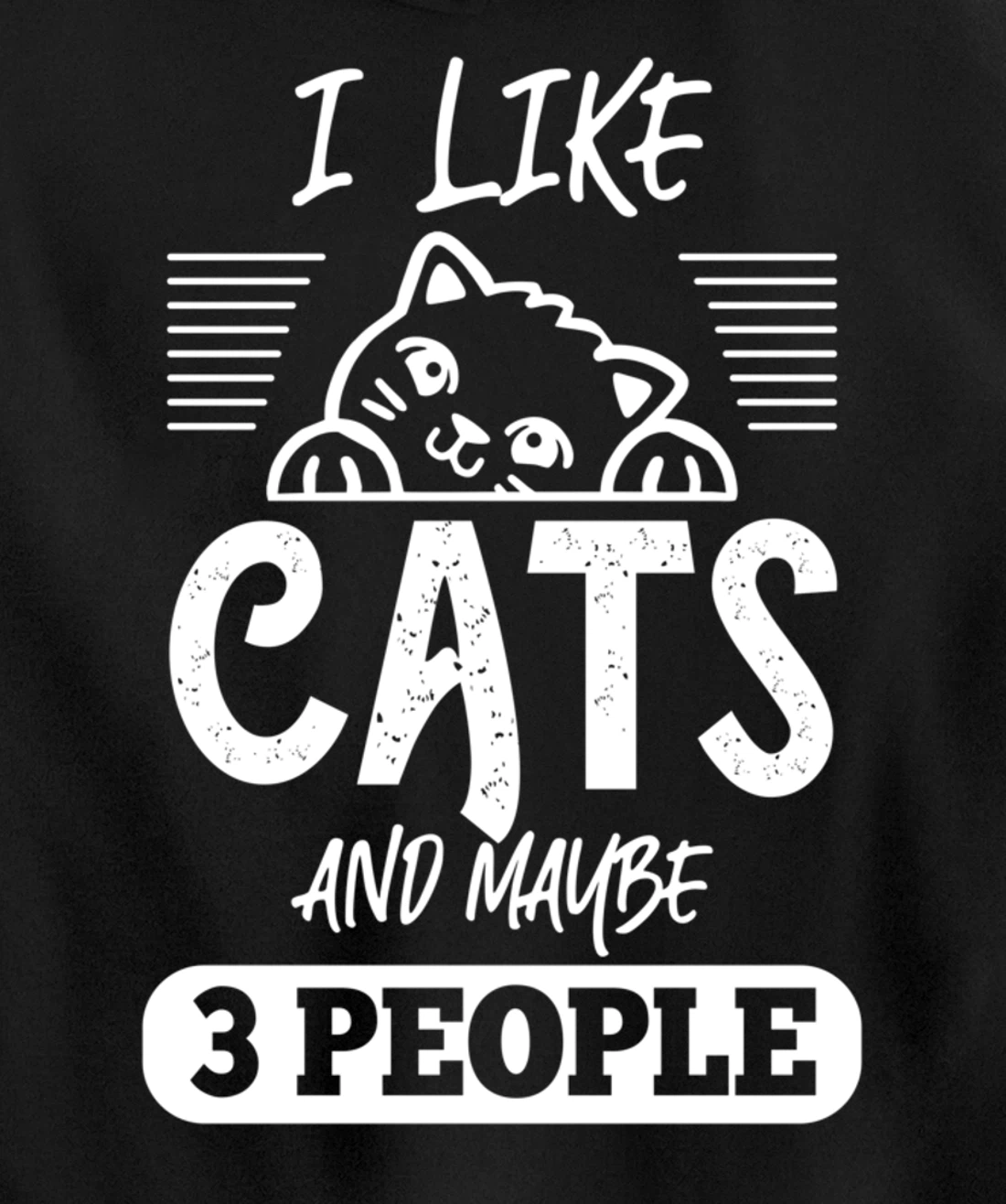 I Like Cats And Maybe 3 People Funny Cats Kittens Themed Pullover Hoodie