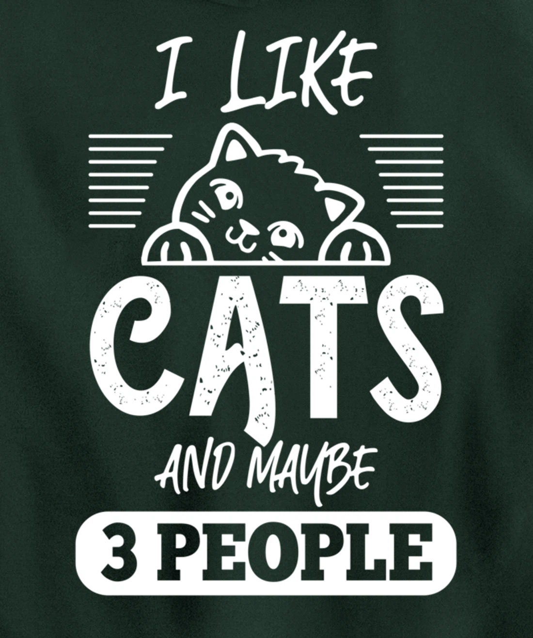 I Like Cats And Maybe 3 People Funny Cats Kittens Themed Pullover Hoodie