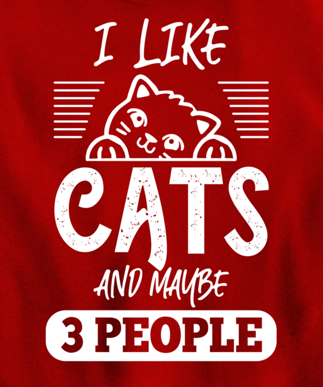 I Like Cats And Maybe 3 People Funny Cats Kittens Themed Pullover Hoodie