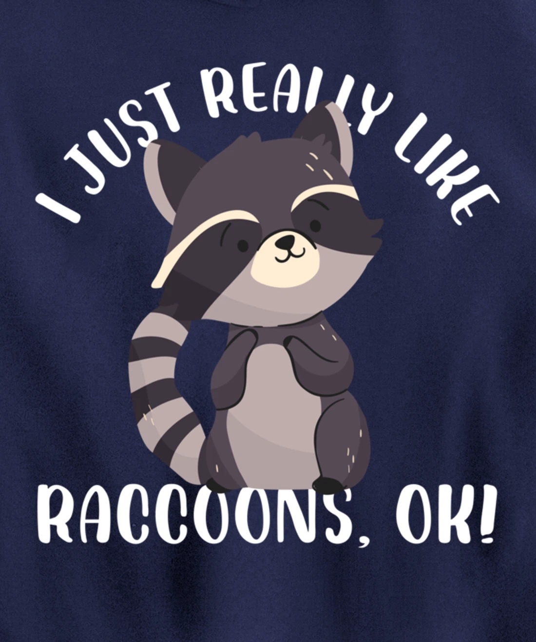 I Just Really Like Raccoons Ok Funny Raccoon Lover Design Pullover Hoodie