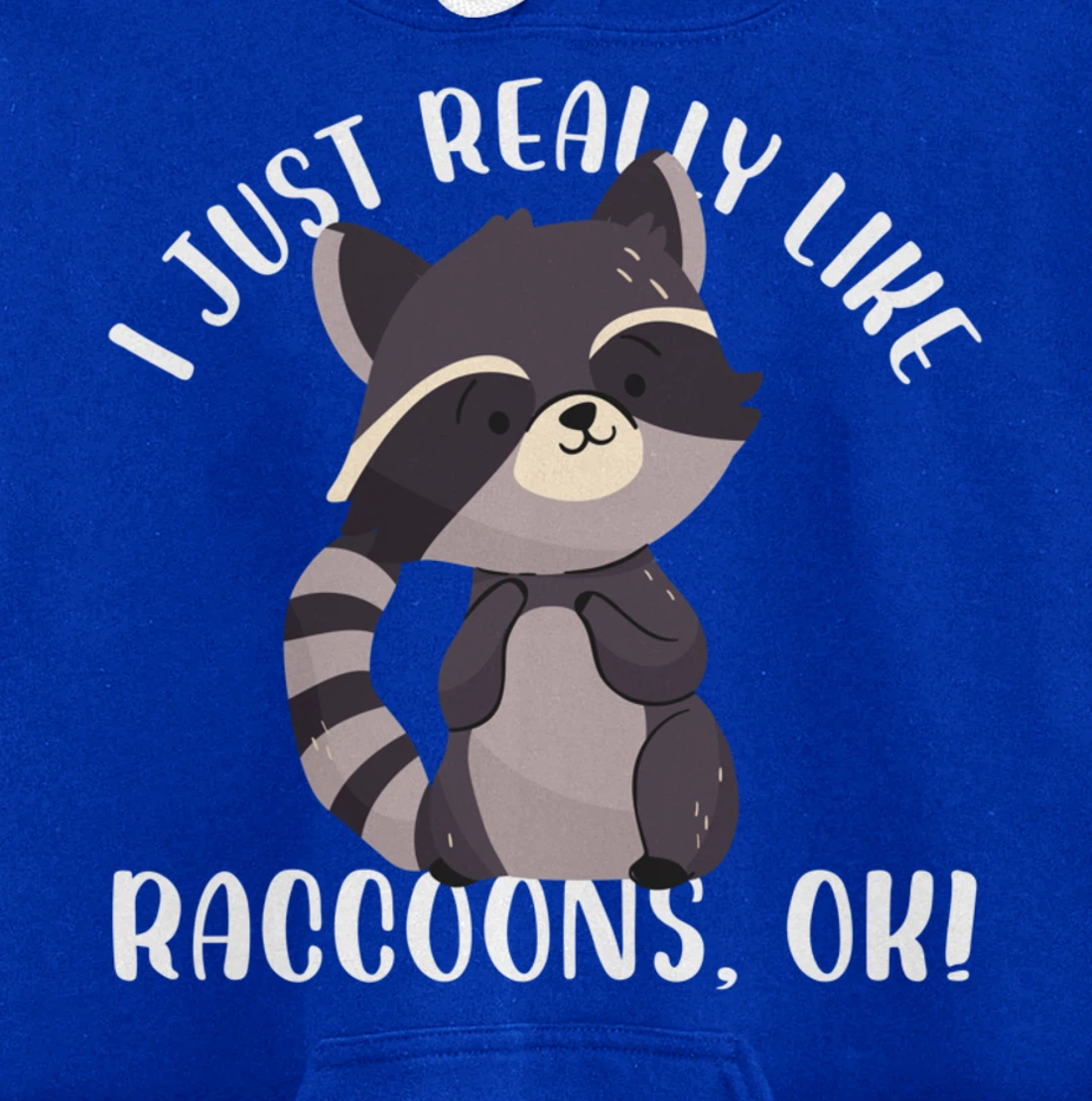 I Just Really Like Raccoons Ok Funny Raccoon Lover Design Pullover Hoodie