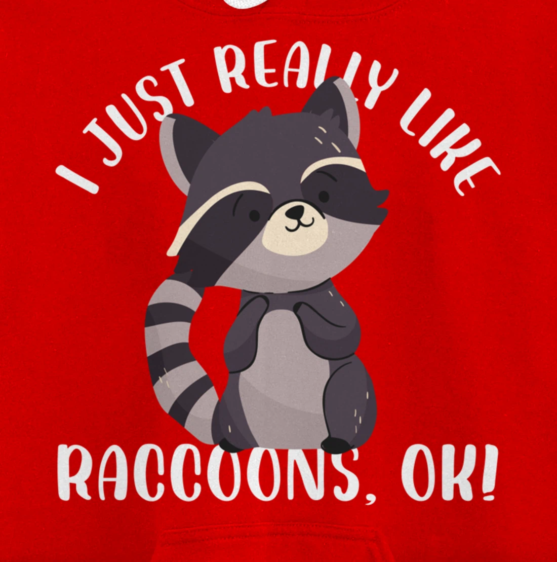 I Just Really Like Raccoons Ok Funny Raccoon Lover Design Pullover Hoodie