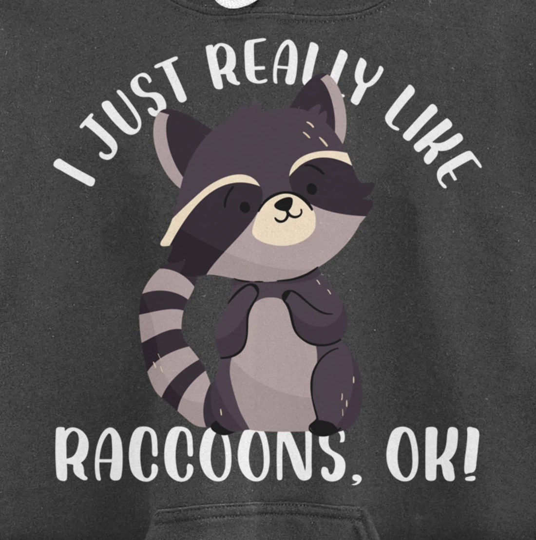 I Just Really Like Raccoons Ok Funny Raccoon Lover Design Pullover Hoodie