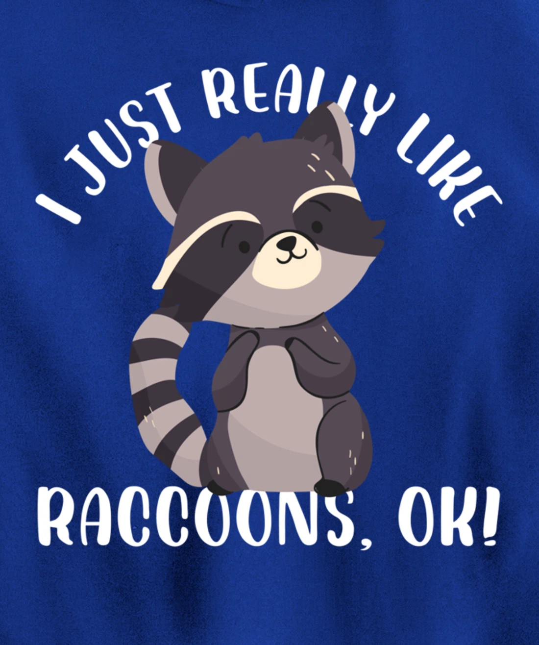 I Just Really Like Raccoons Ok Funny Raccoon Lover Design Pullover Hoodie