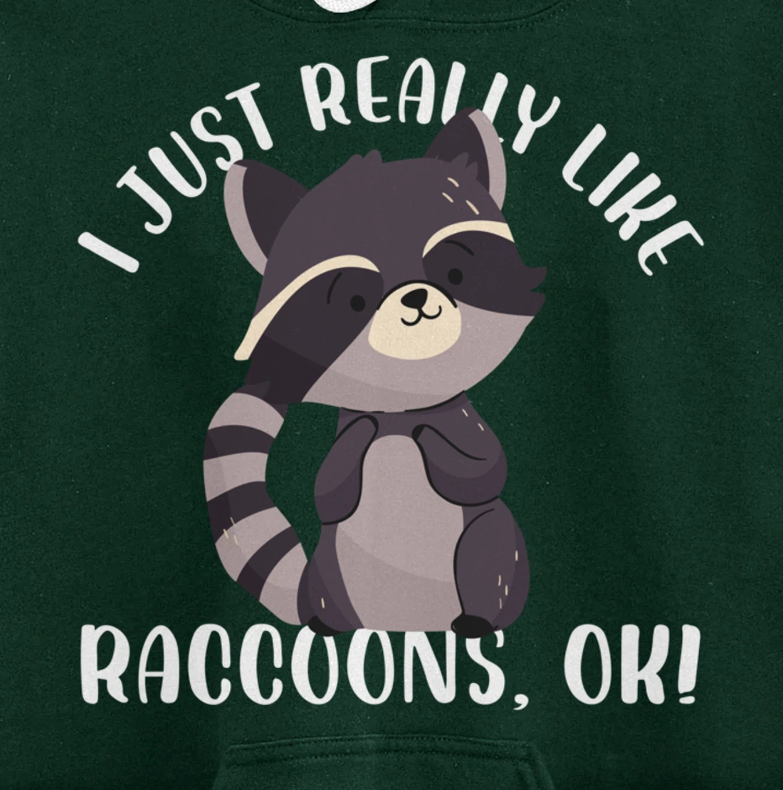 I Just Really Like Raccoons Ok Funny Raccoon Lover Design Pullover Hoodie