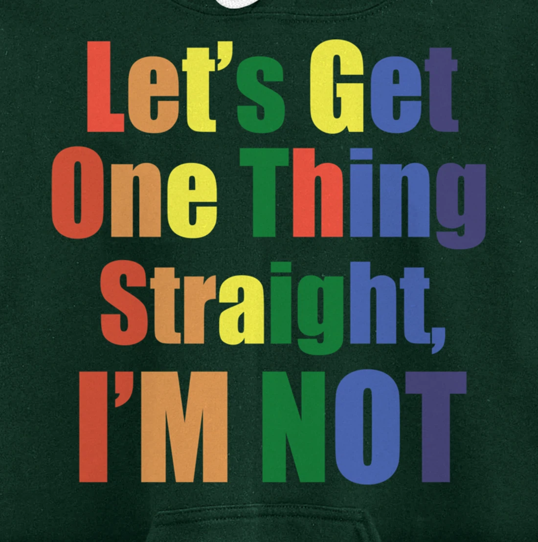 I'm Not Straight Pullover Hoodie