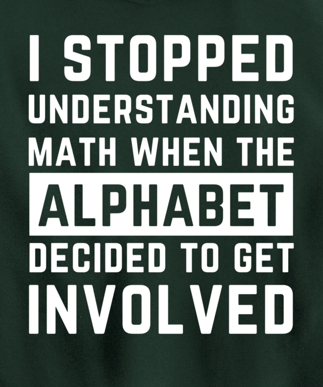 Stopped Understanding Math When Alphabet Got Involved Gift Pullover Hoodie