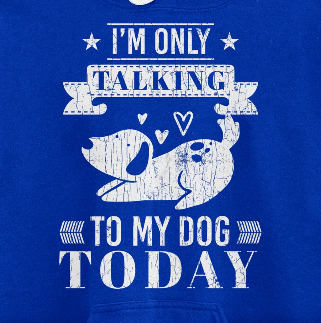 I'm Only Talking To Dog Today Funny Introverts Graphic Pullover Hoodie