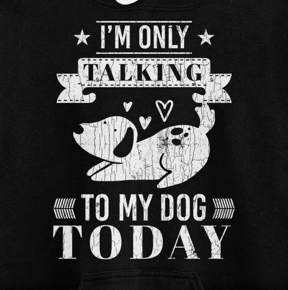 I'm Only Talking To Dog Today Funny Introverts Graphic Pullover Hoodie