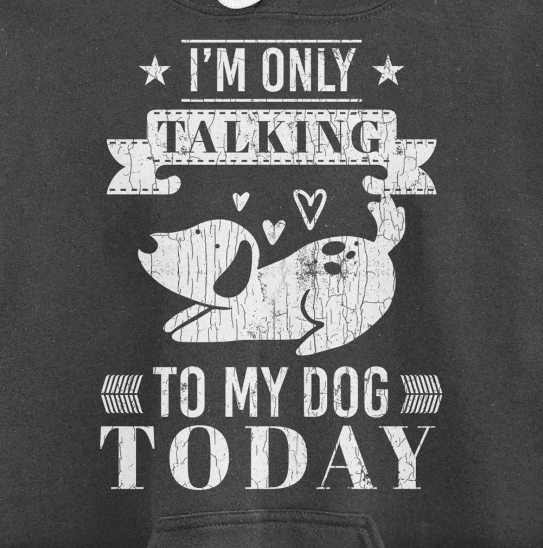 I'm Only Talking To Dog Today Funny Introverts Graphic Pullover Hoodie