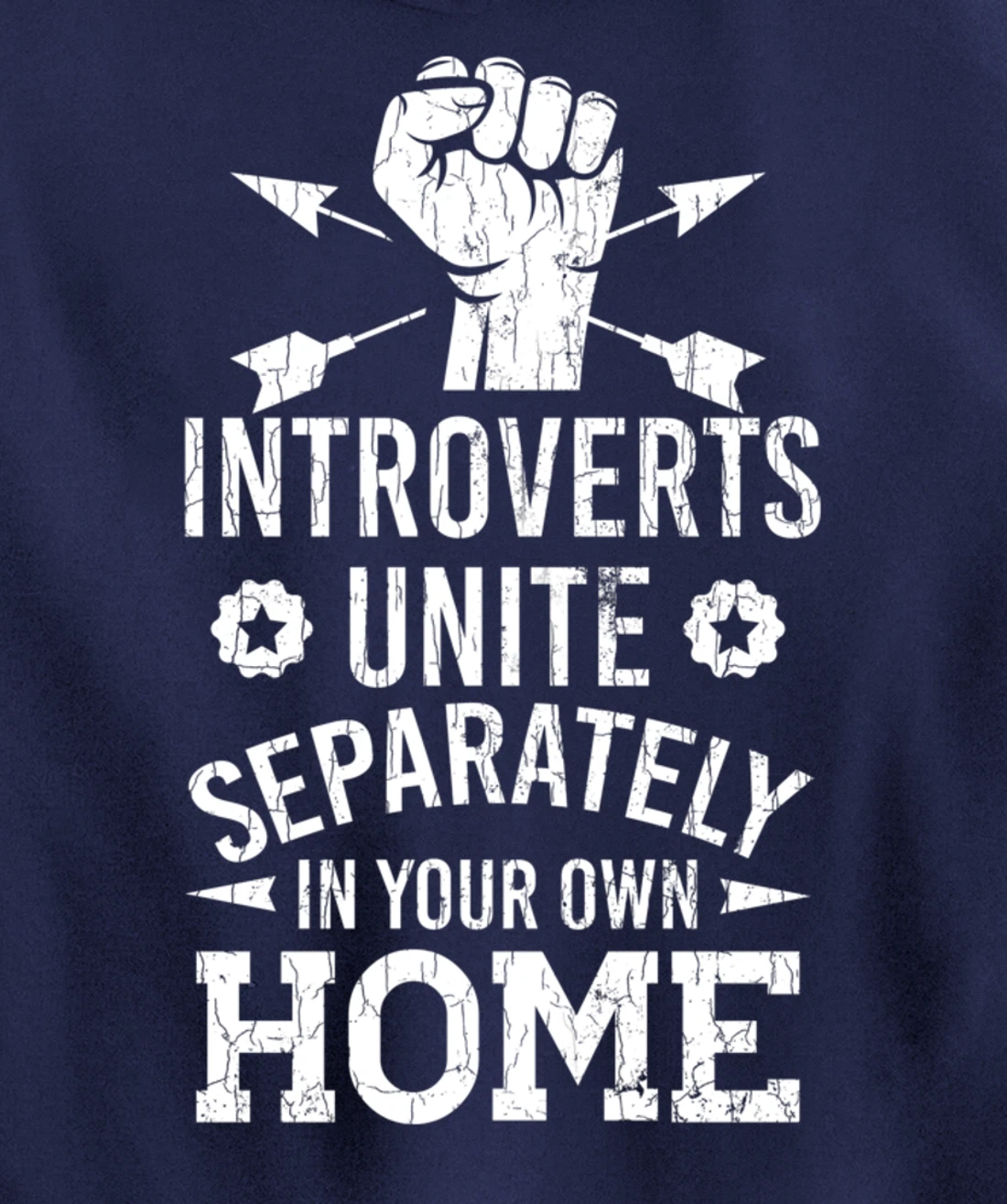 Introverts Unite Separately In Your Own Homes Funny Graphic Pullover Hoodie