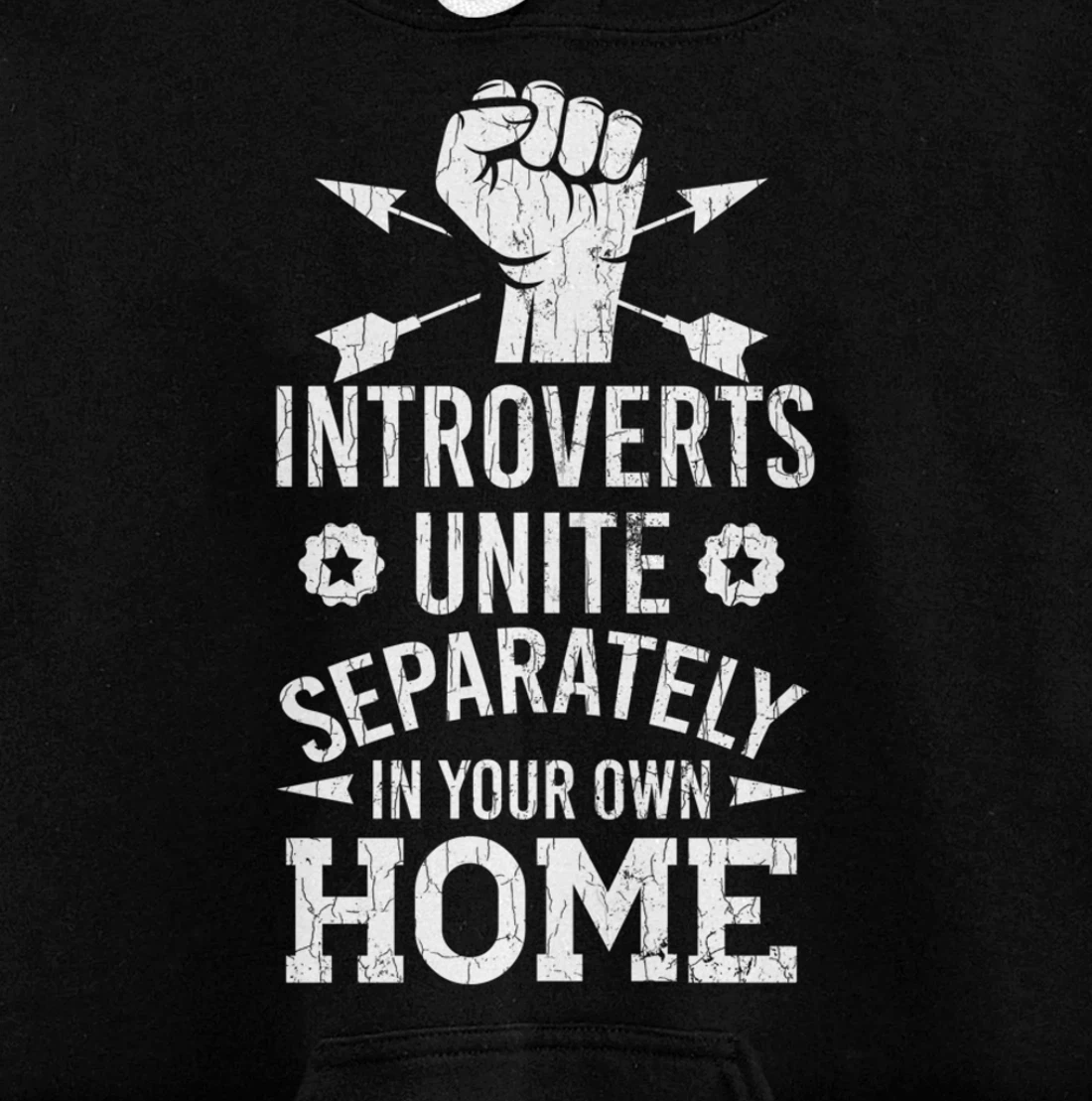Introverts Unite Separately In Your Own Homes Funny Graphic Pullover Hoodie