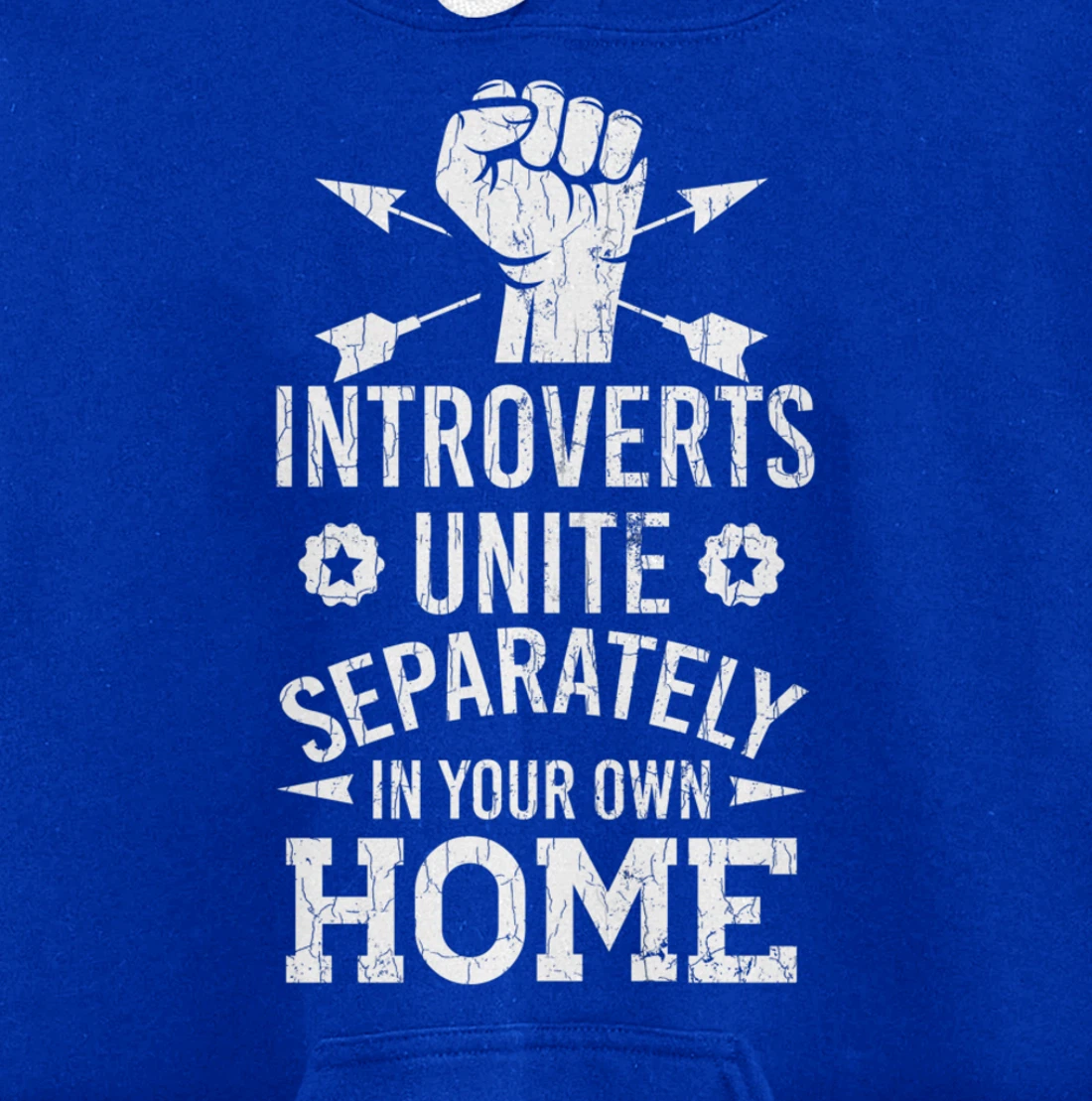 Introverts Unite Separately In Your Own Homes Funny Graphic Pullover Hoodie