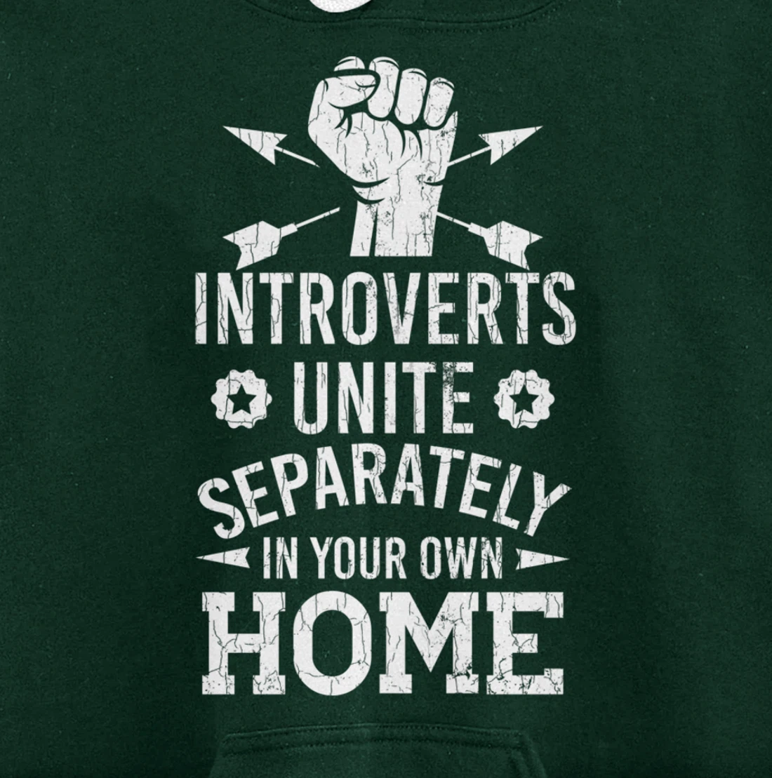 Introverts Unite Separately In Your Own Homes Funny Graphic Pullover Hoodie