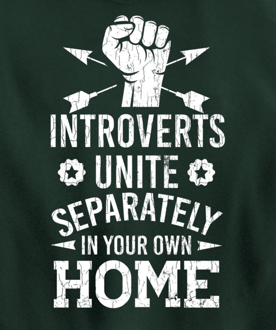 Introverts Unite Separately In Your Own Homes Funny Graphic Pullover Hoodie