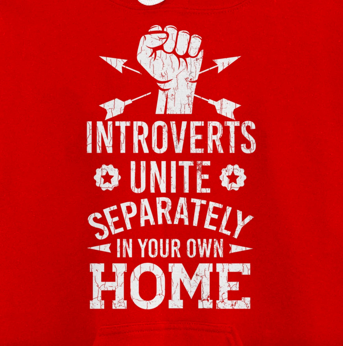 Introverts Unite Separately In Your Own Homes Funny Graphic Pullover Hoodie