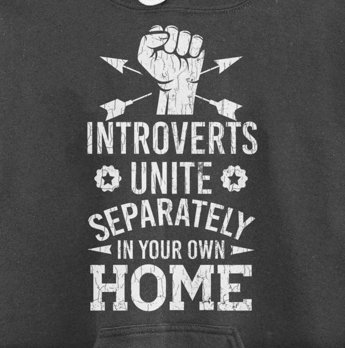Introverts Unite Separately In Your Own Homes Funny Graphic Pullover Hoodie