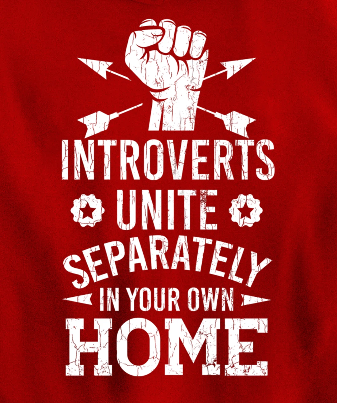 Introverts Unite Separately In Your Own Homes Funny Graphic Pullover Hoodie