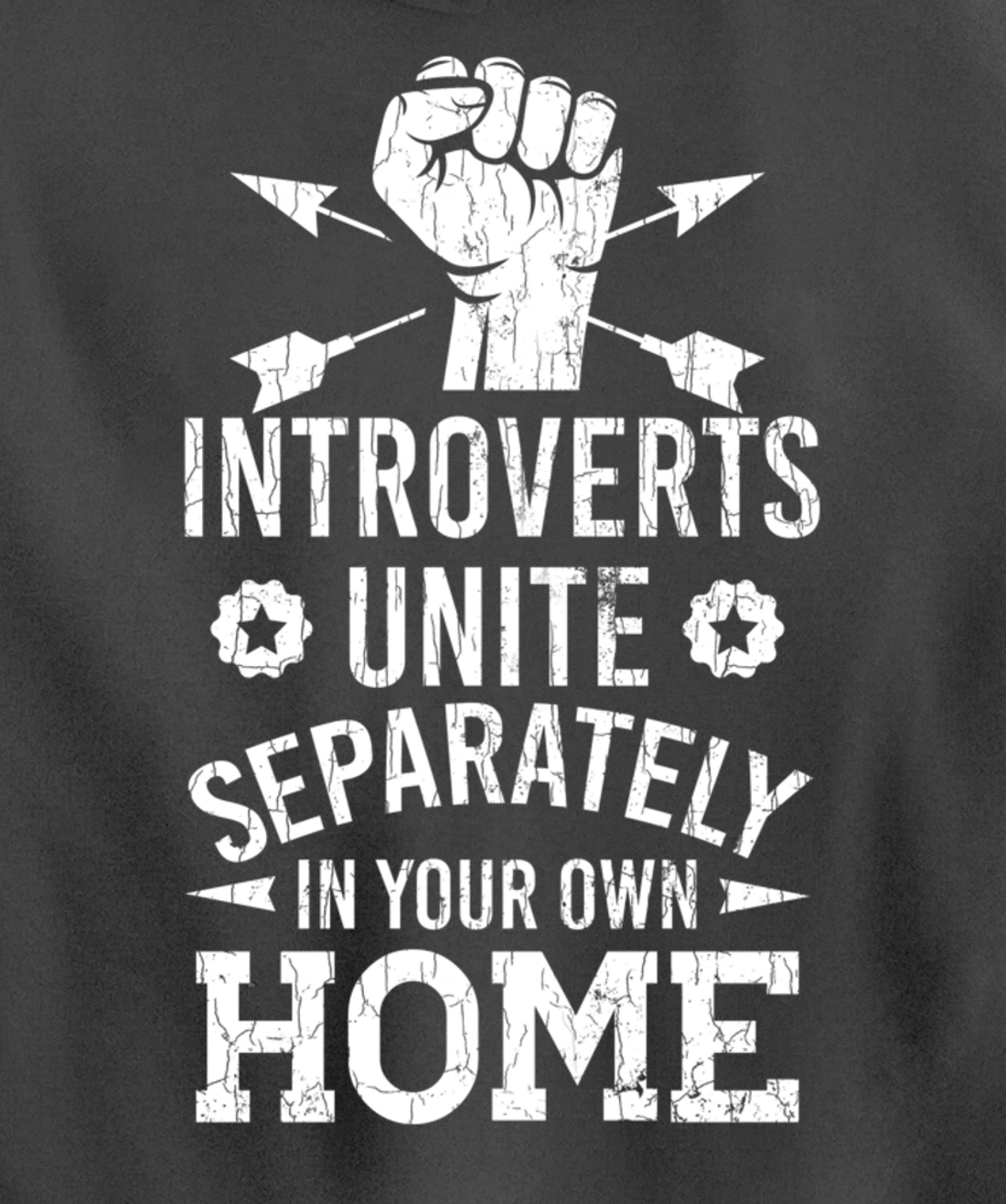 Introverts Unite Separately In Your Own Homes Funny Graphic Pullover Hoodie