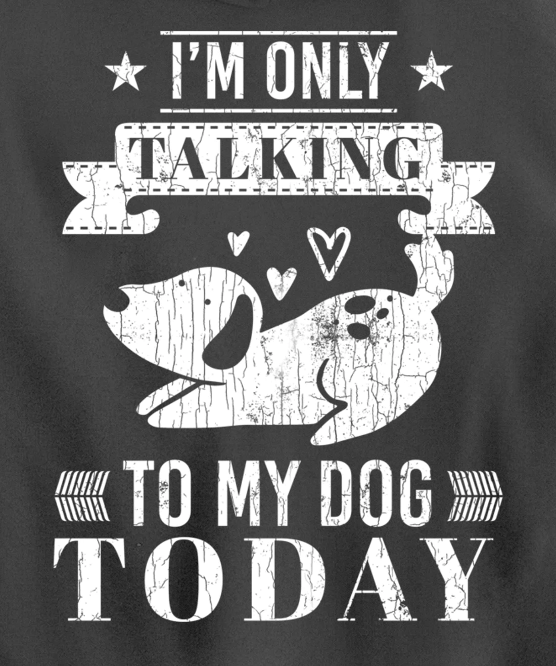 I'm Only Talking To Dog Today Funny Introverts Graphic Pullover Hoodie