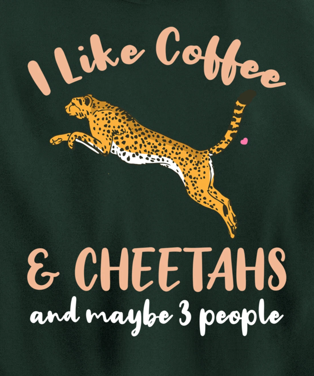 I Like Coffee And Cheetahs And Maybe 3 People Pullover Hoodie