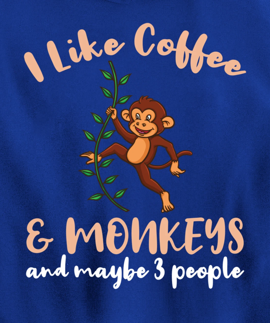 I Like Coffee And Monkeys And Maybe 3 People Pullover Hoodie