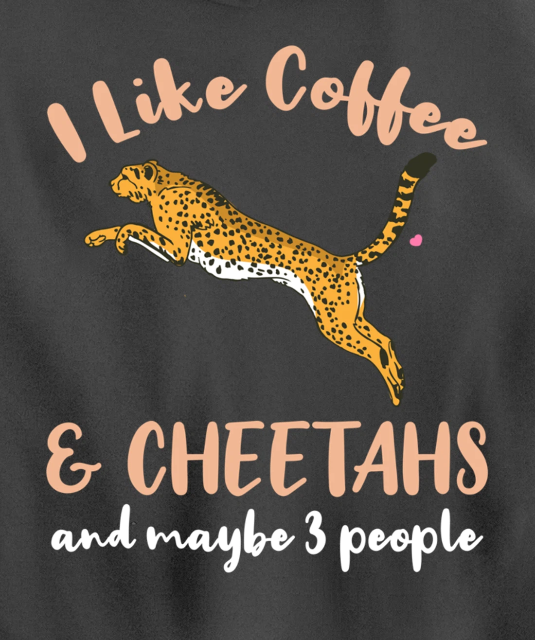 I Like Coffee And Cheetahs And Maybe 3 People Pullover Hoodie
