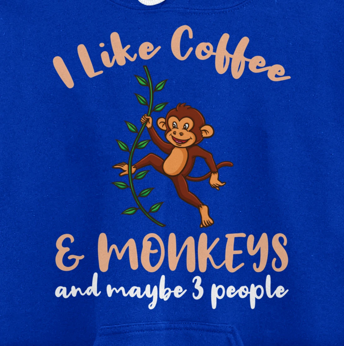 I Like Coffee And Monkeys And Maybe 3 People Pullover Hoodie