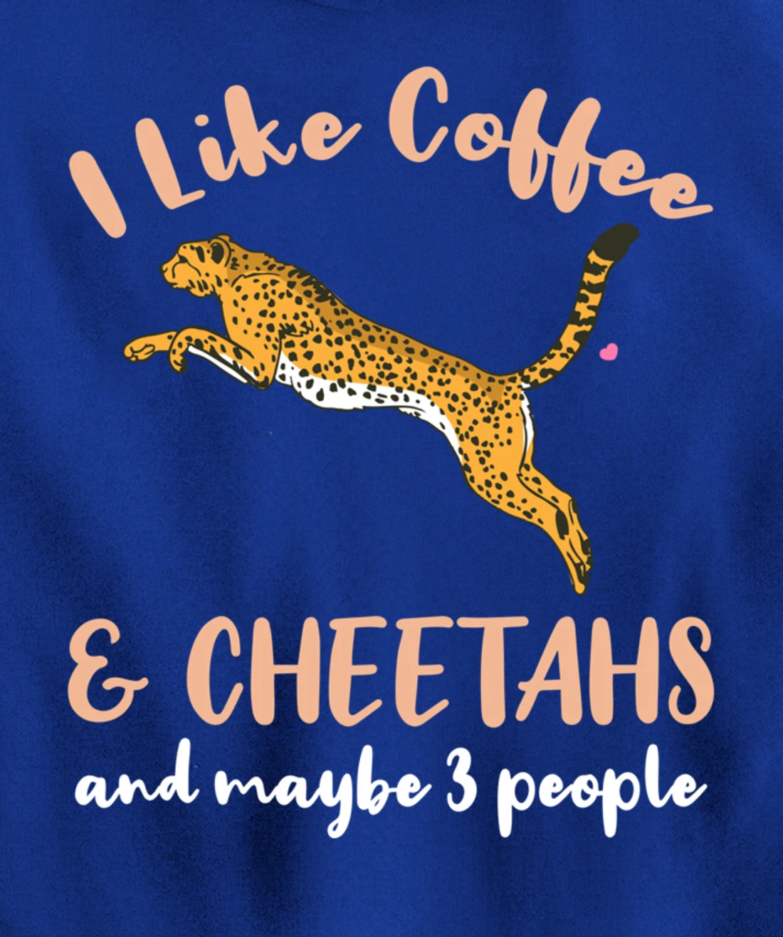 I Like Coffee And Cheetahs And Maybe 3 People Pullover Hoodie
