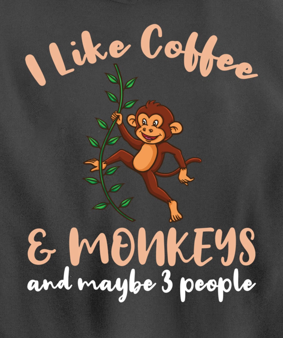 I Like Coffee And Monkeys And Maybe 3 People Pullover Hoodie