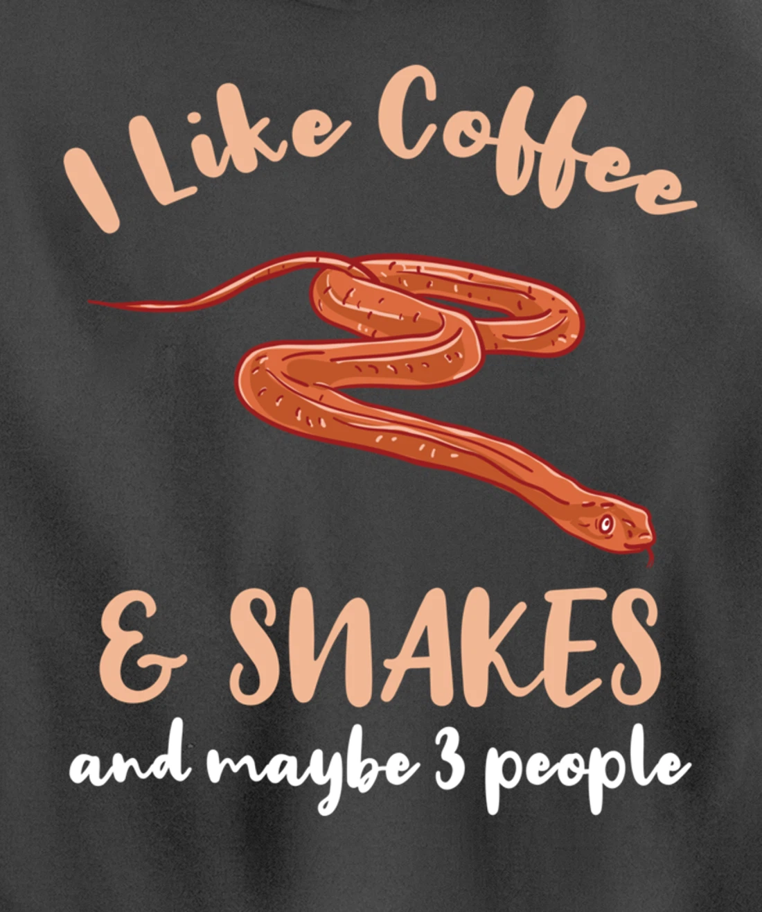I Like Coffee And Snakes And Maybe 3 People Pullover Hoodie