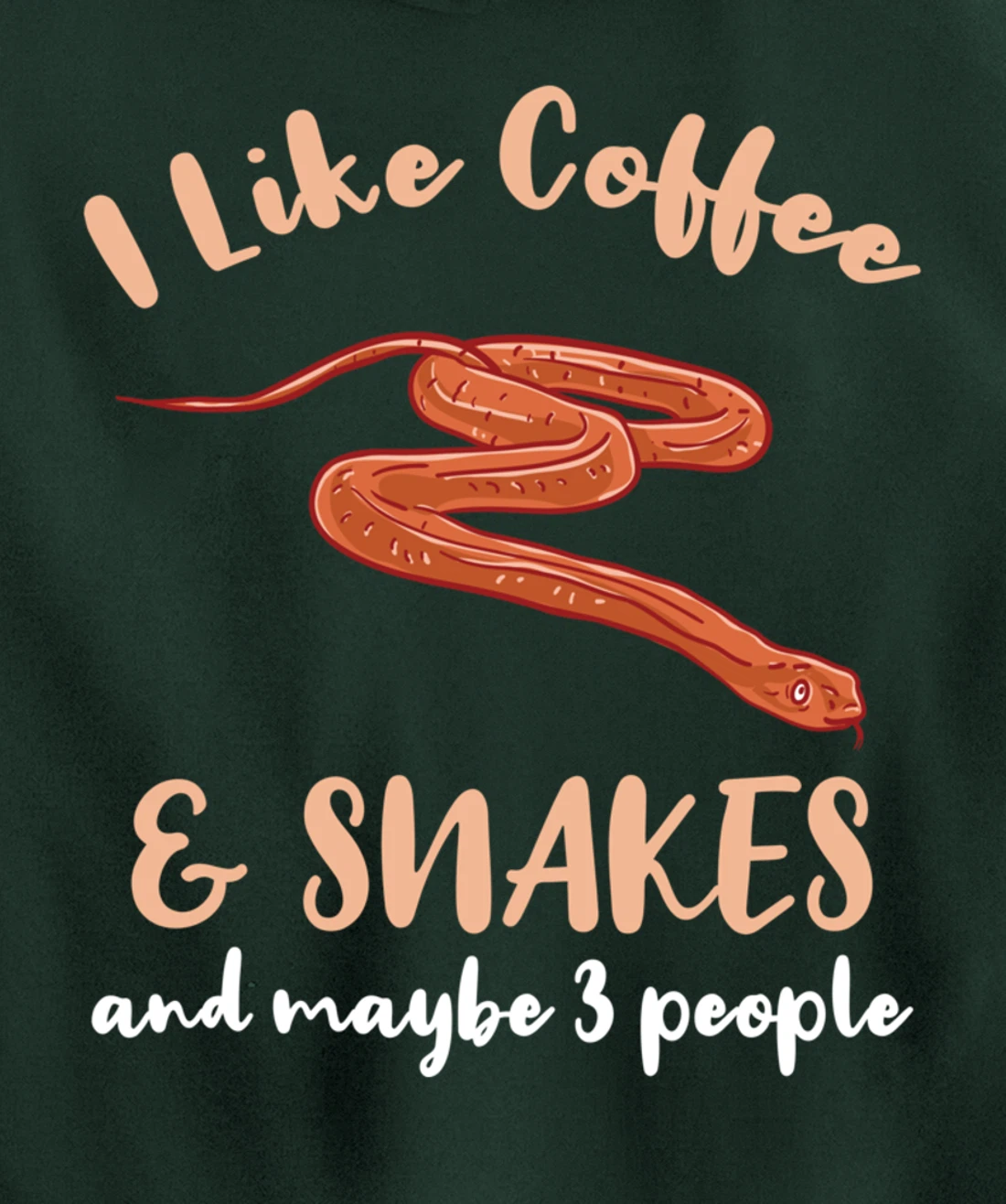 I Like Coffee And Snakes And Maybe 3 People Pullover Hoodie