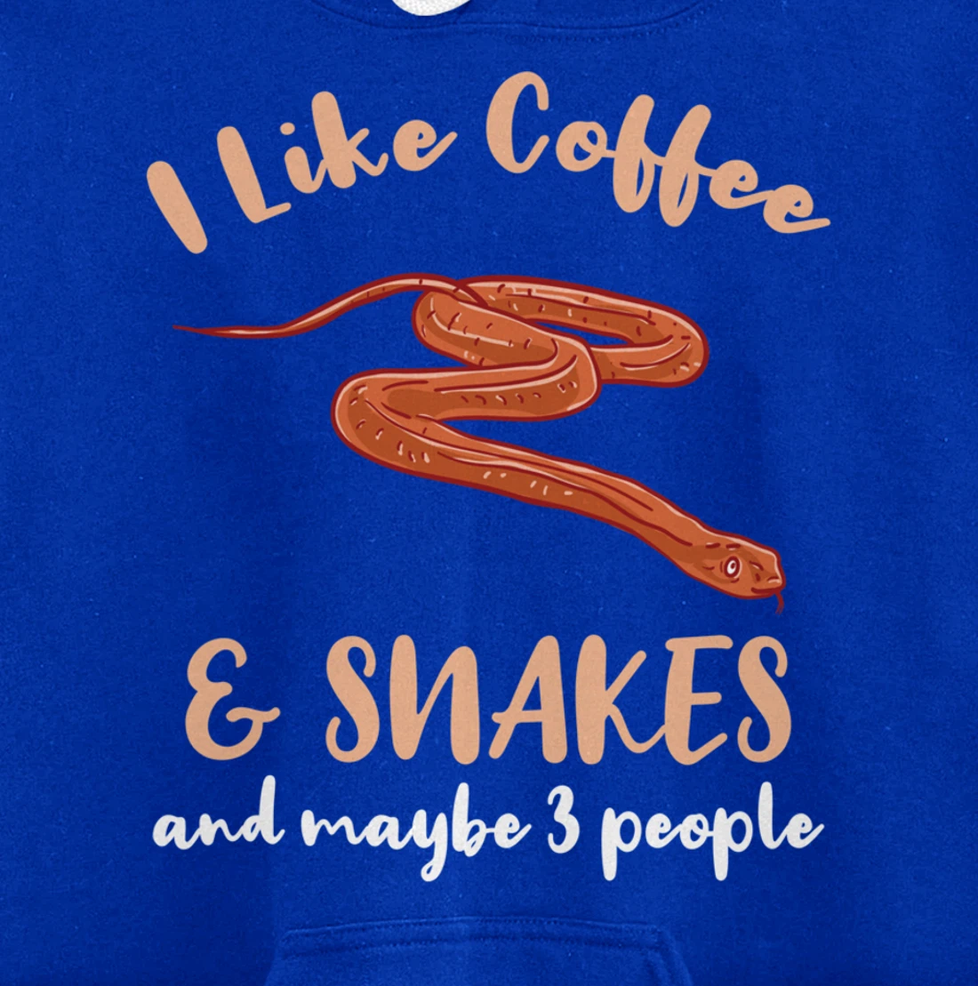 I Like Coffee And Snakes And Maybe 3 People Pullover Hoodie