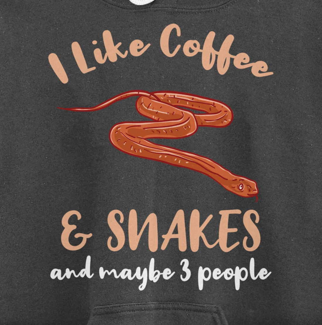 I Like Coffee And Snakes And Maybe 3 People Pullover Hoodie