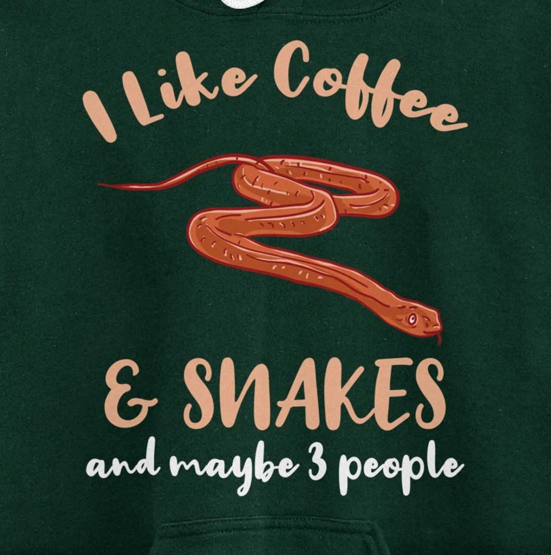I Like Coffee And Snakes And Maybe 3 People Pullover Hoodie