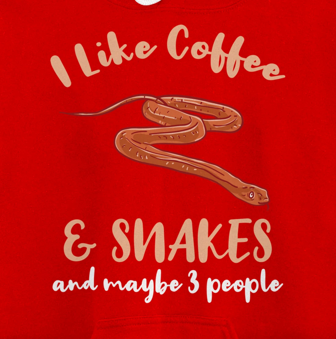 I Like Coffee And Snakes And Maybe 3 People Pullover Hoodie
