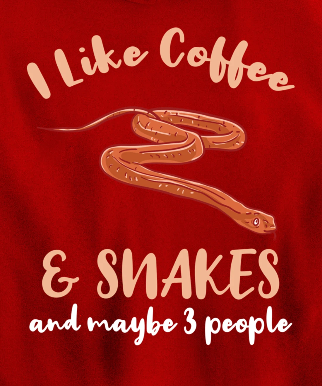 I Like Coffee And Snakes And Maybe 3 People Pullover Hoodie