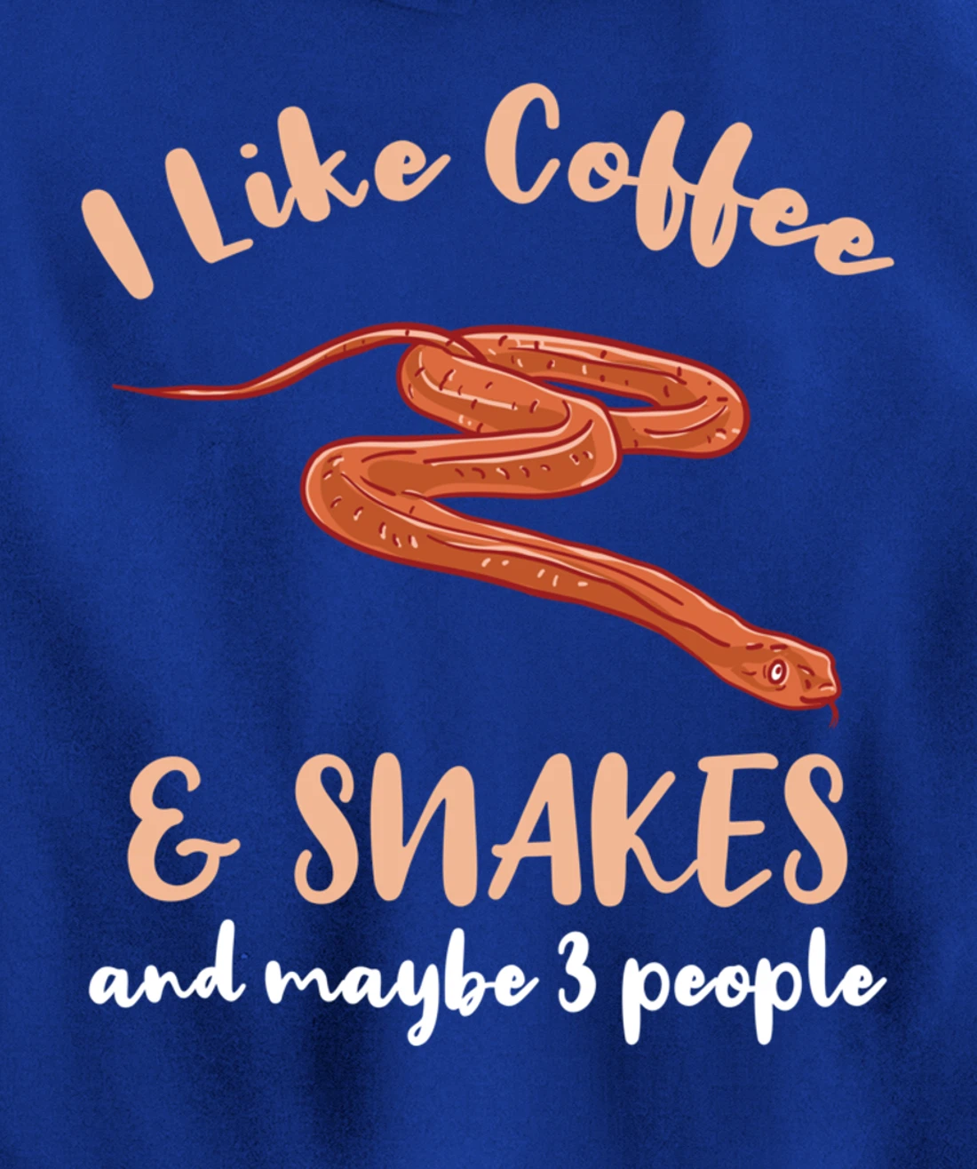 I Like Coffee And Snakes And Maybe 3 People Pullover Hoodie