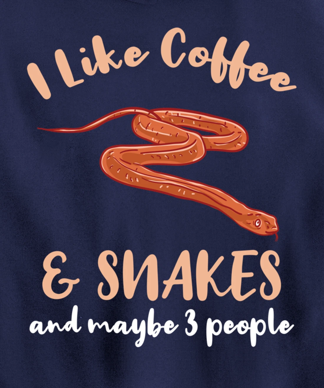 I Like Coffee And Snakes And Maybe 3 People Pullover Hoodie