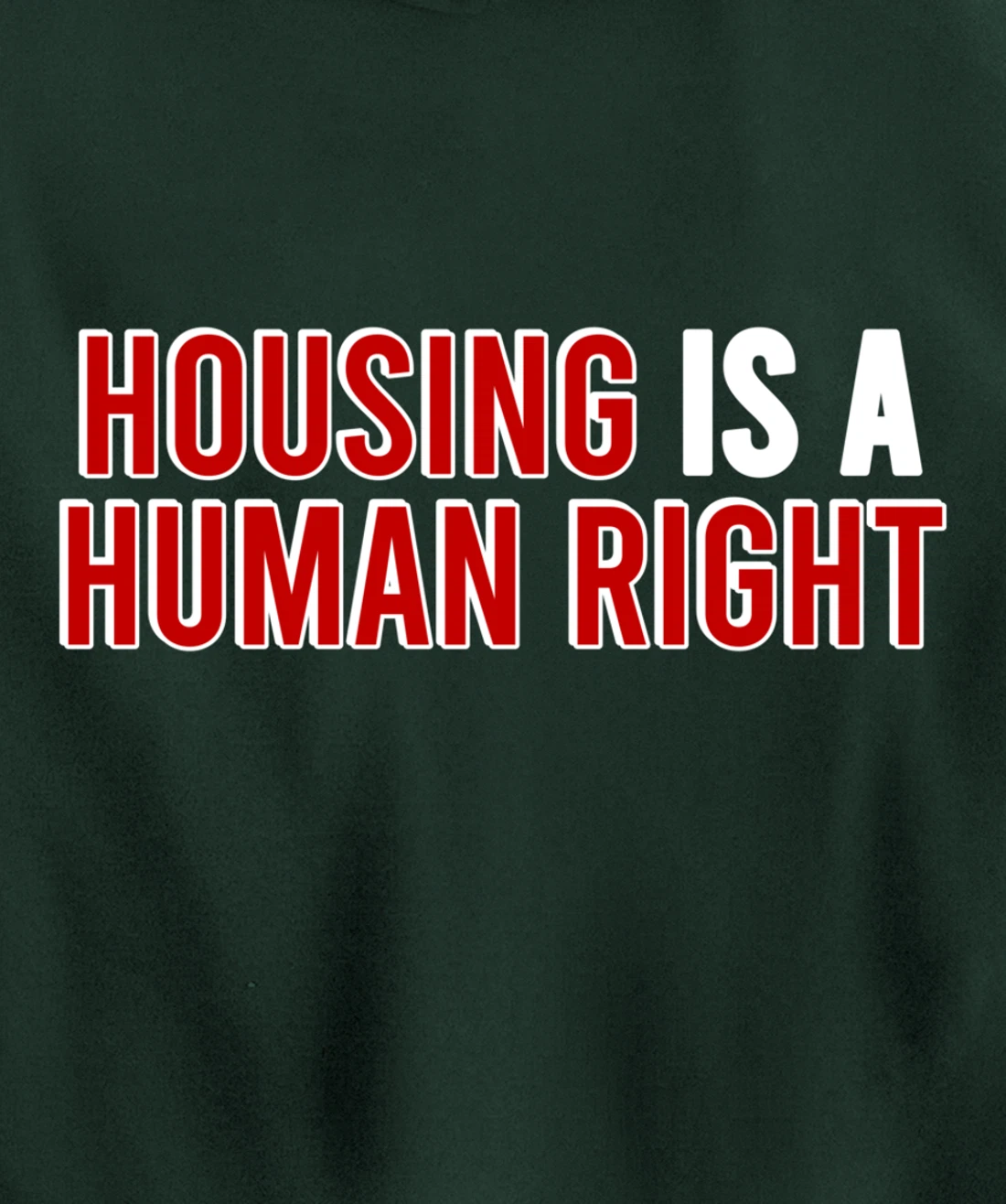 housing is a human right protest Pullover Hoodie