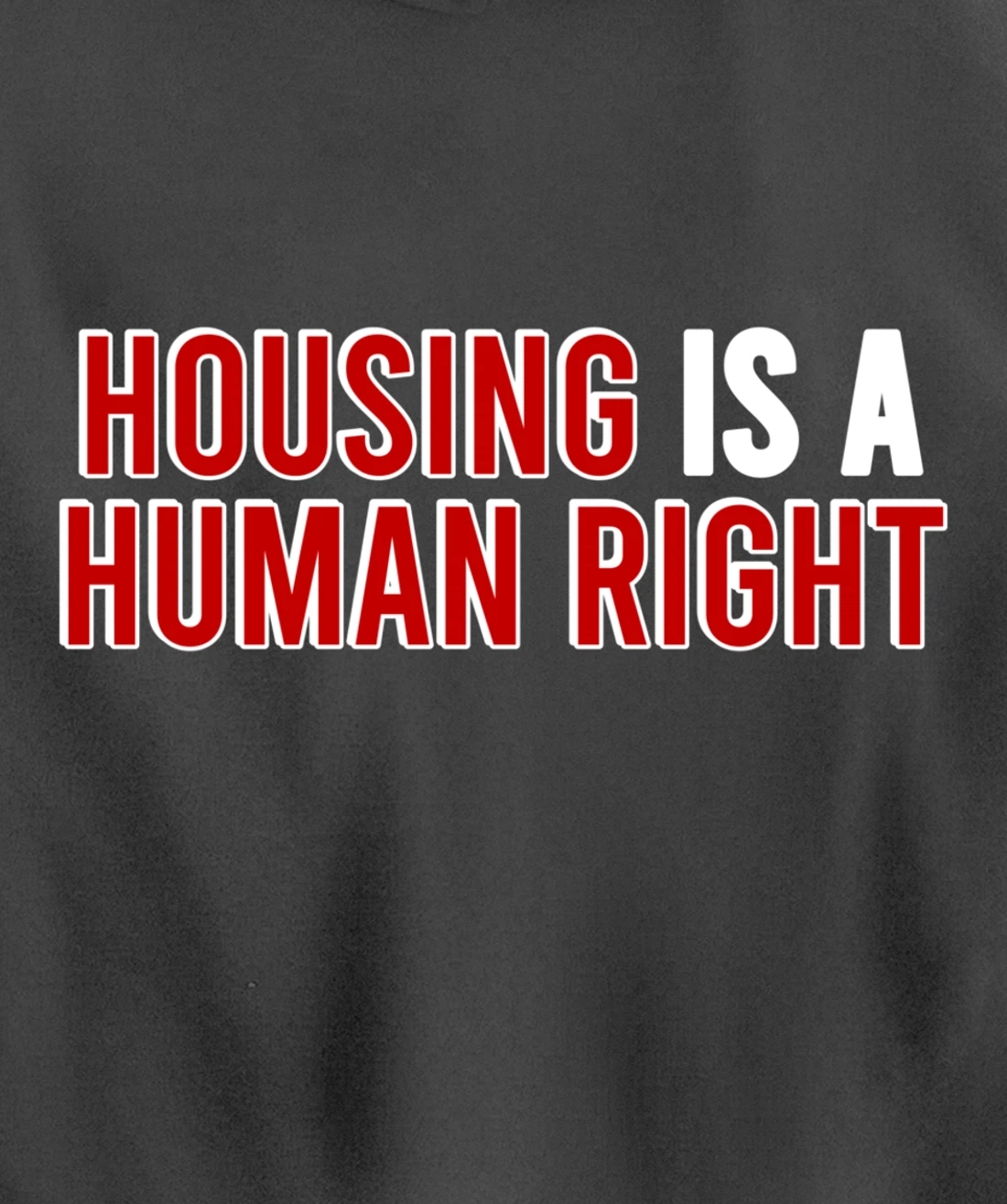 housing is a human right protest Pullover Hoodie
