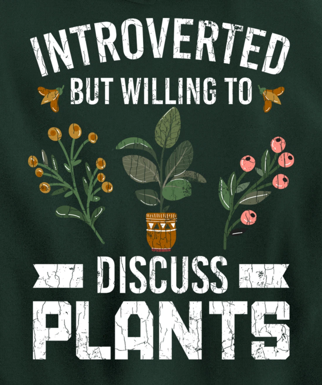 Introverted But Willing To Discuss Plants Funny Graphic Pullover Hoodie